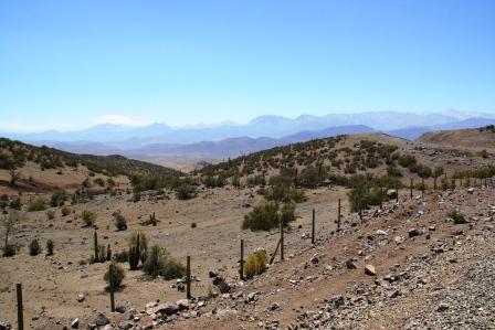 Ohne Wasser - nur karger Bewuchs